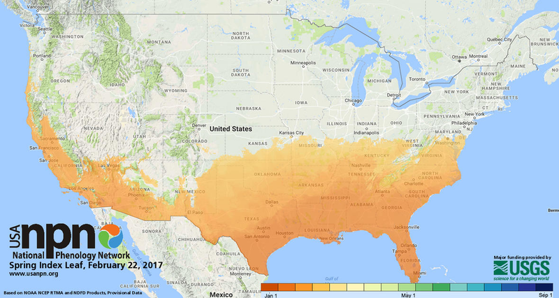The Spring Leaf Index is a measure of early season events in plants—such as the appearance of leaves and flowers—based on recent temperature conditions. (Image: US-NPN)